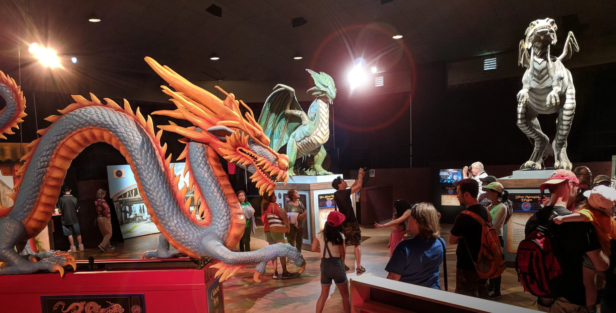 The Lost World of Dragons — Stage 9 Exhibits - Where Education The Lost World of Dragons — Stage 9 Exhibits - Where Education